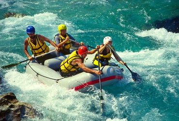 Donec malesuada metus eu dol